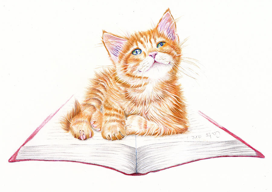 Bookmark - Marmalade Kitten Painting by Debra Hall