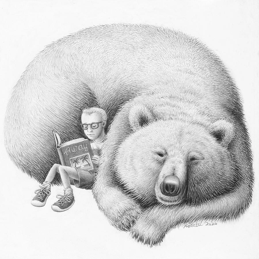 Book Nook Drawing by Mike Farrell