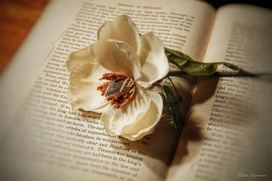 Bookmark Photograph by Kathi Isserman Bookmark Photograph by Kathi Isserman
