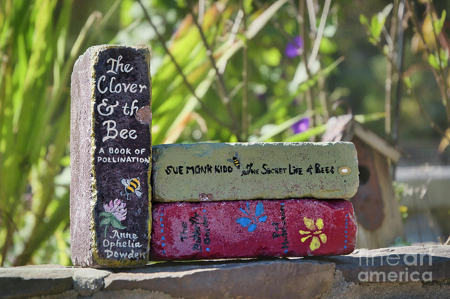 Books at Lake Lure Flowering Bridge Photograph by Amy Dundon