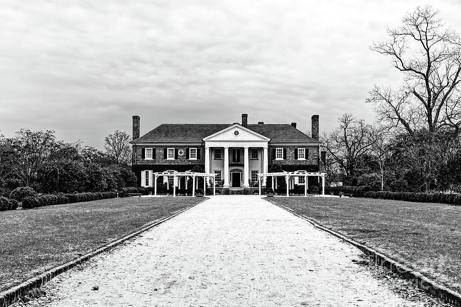 Boone Hall Plantation South Carolina Photograph by John Rizzuto