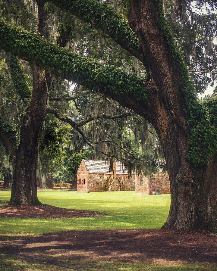Boone Hall Slave Homes Photograph by Ray Devlin