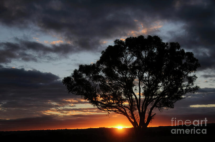 Boorowa Sunset Photograph by Werner Padarin Boorowa Sunset Photograph by Werner Padarin