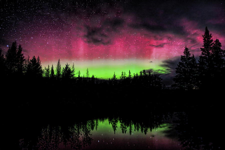 Boot Creek Red And Green Aurora Photograph by Dale Kauzlaric
