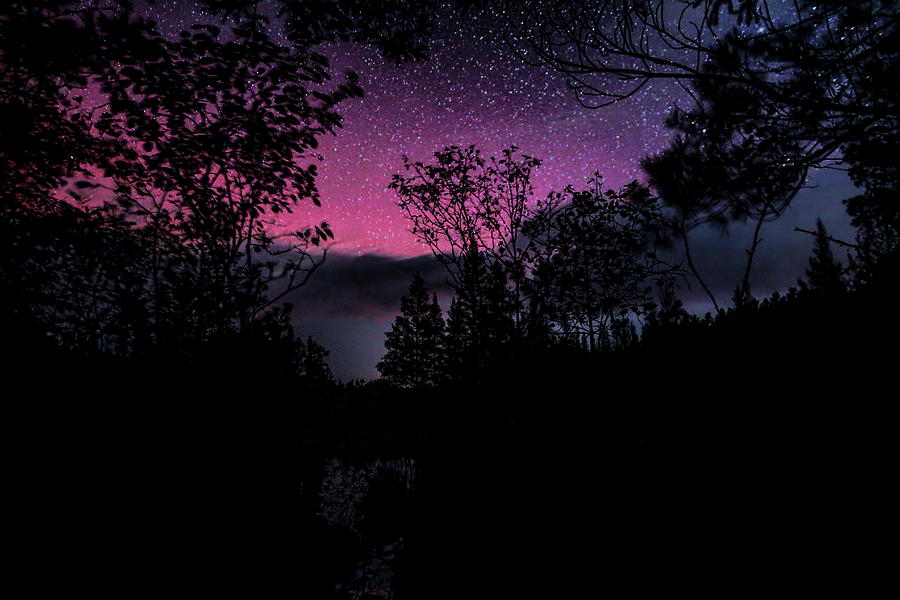 Boot Creek Red Aurora Silhouettes Photograph by Dale Kauzlaric