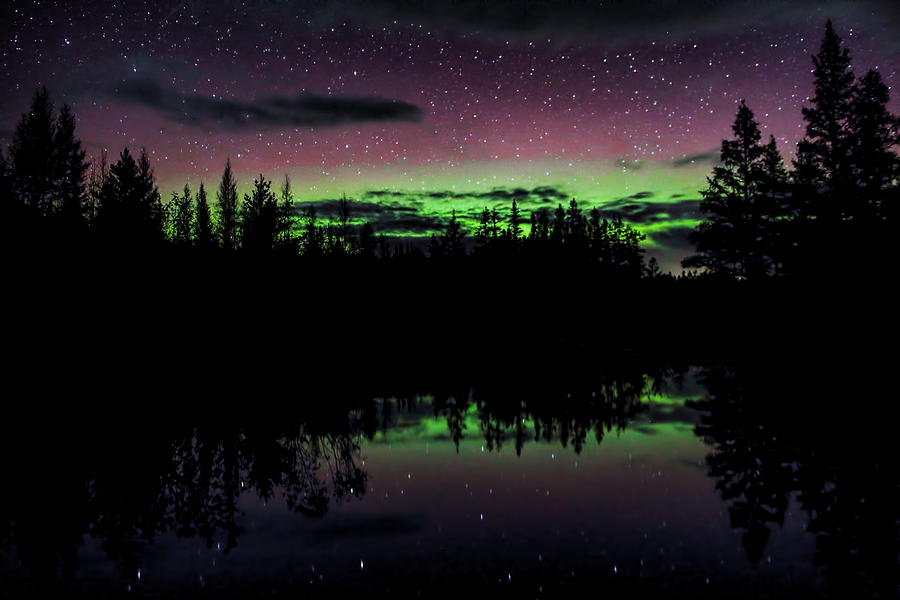 Boot Creek Red Over Green Aurora Photograph by Dale Kauzlaric