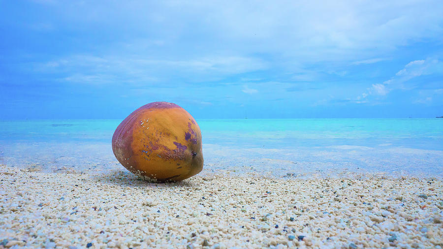 Bora Bora Beach Photograph by David Morehead