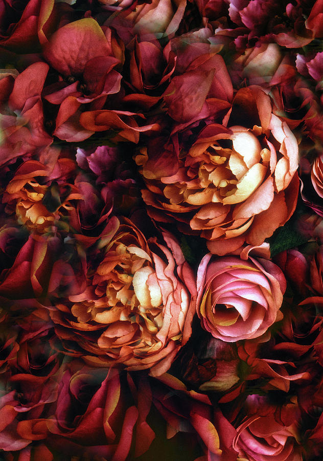 Rose Photograph - Bordeaux Bouquet by Jessica Jenney