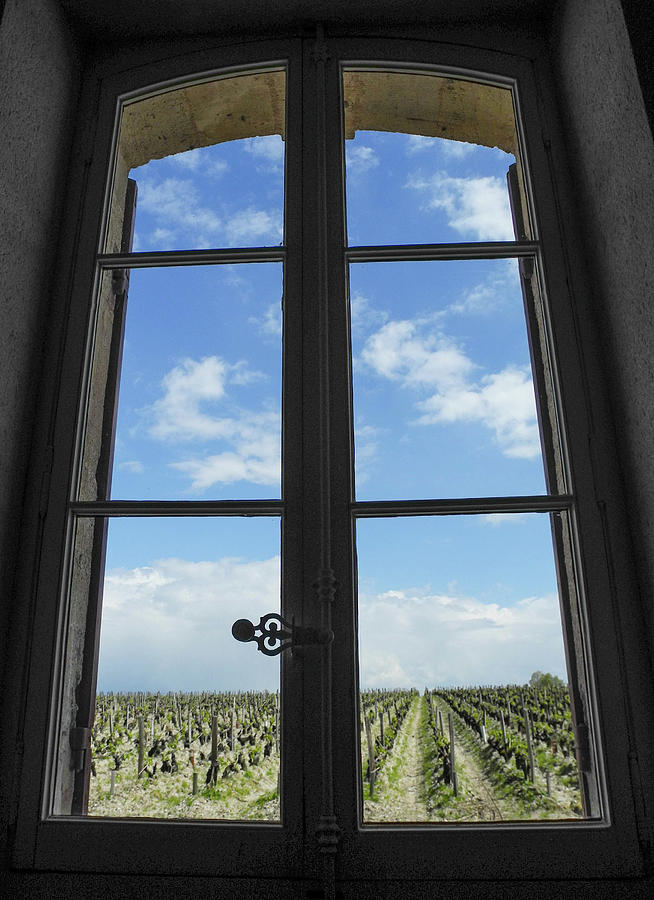 Bordeaux Vineyard Photograph by Doug Davidson