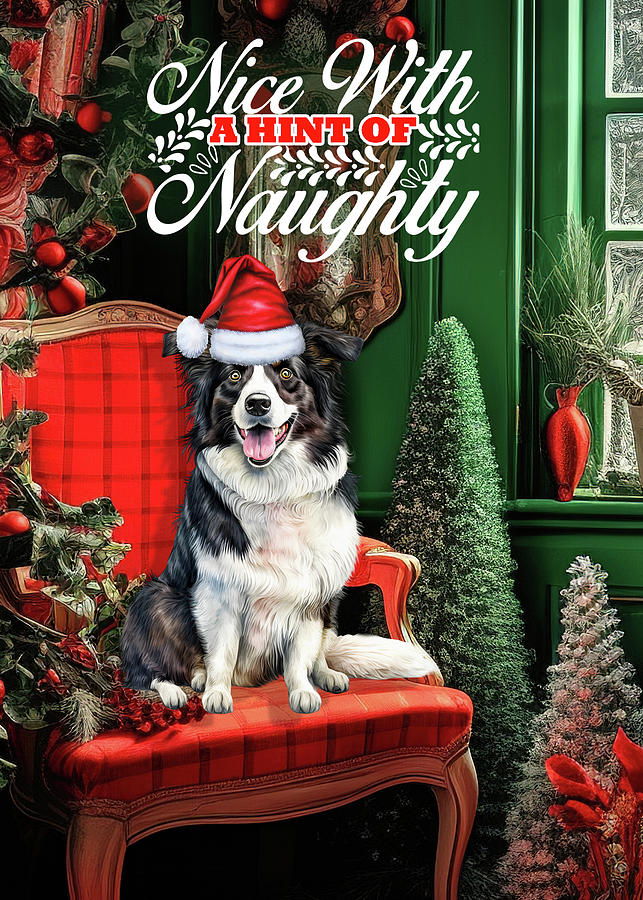 Border Collie Christmas Dog Digital Art by Doreen Erhardt