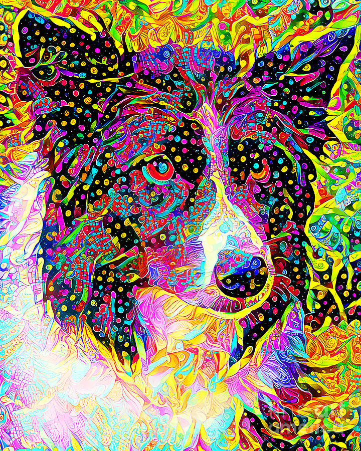 Border Collie Dog in Vibrant Whimsical Colors 20210118 Photograph by Wingsdomain Art and Photography