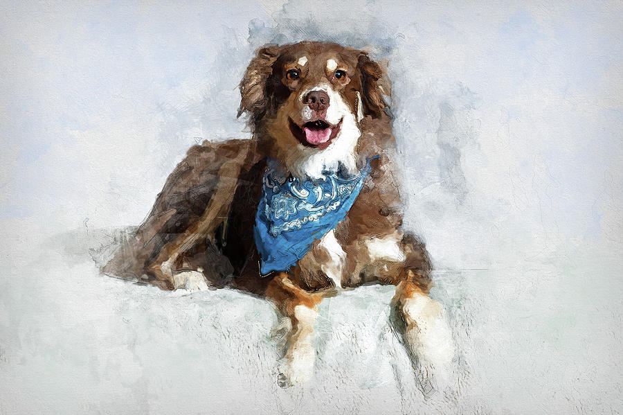 Border Collie Mixed Media by Ed Taylor