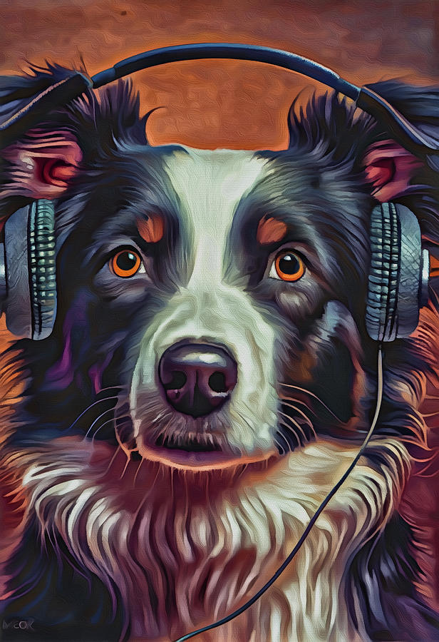 Border Collie Listening to the Beat Mixed Media by Ann Leech