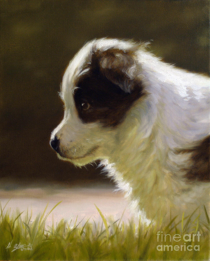 Charcoal Painting - Border Collie pup portrait I by John Silver