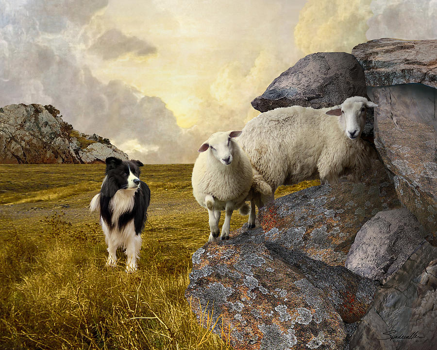 Border Collie with Sheep Digital Art by Spadecaller