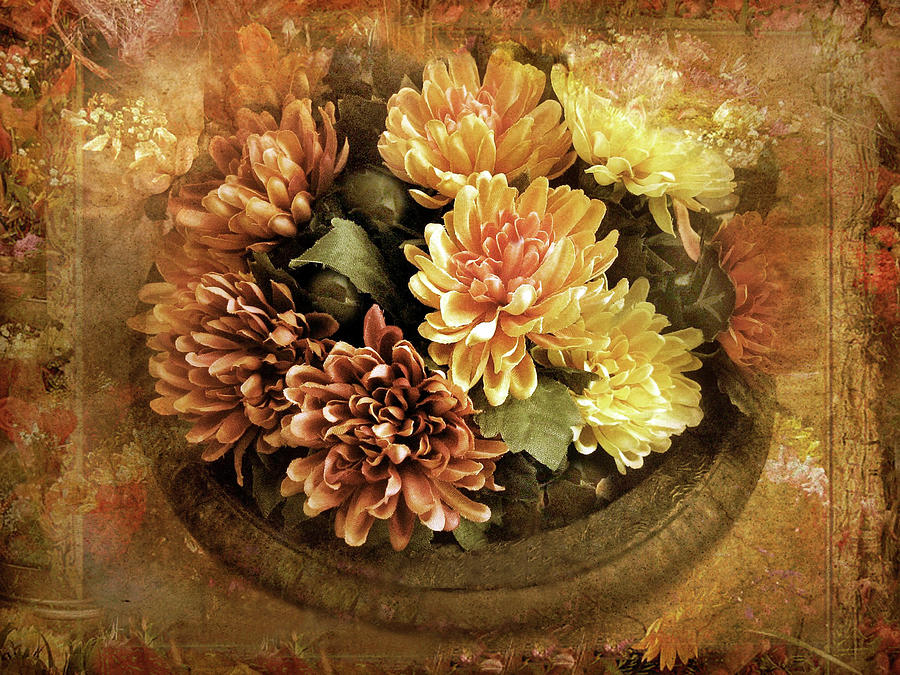 Flower Photograph - Bordered Mums by Jessica Jenney