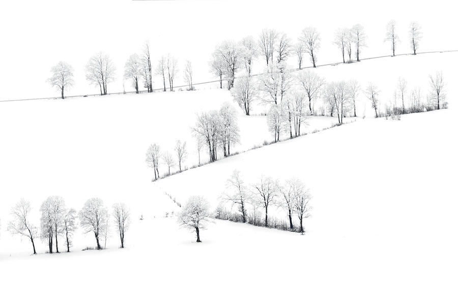 Winter Photograph - Borders by Franz Graf