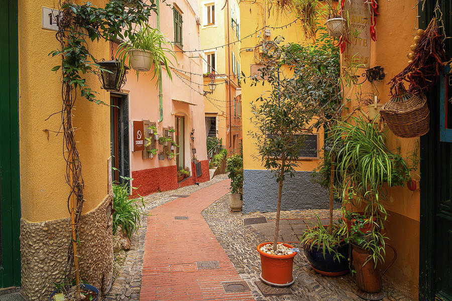 Bordighera Old Town - Italy 1 Photograph by Jenny Rainbow