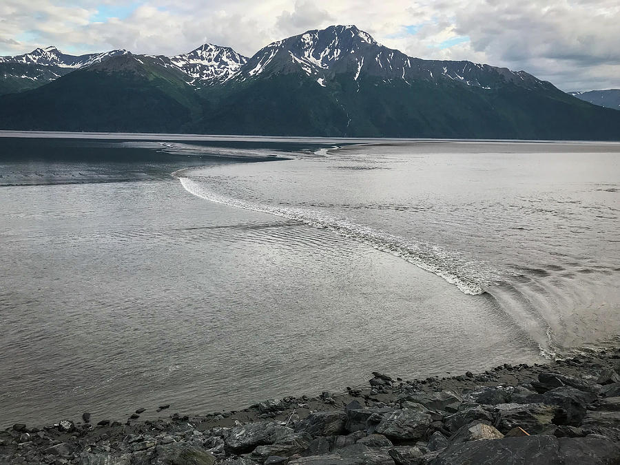 Bore Tide in Turnagain Arm Photograph by Ed Stokes Fine Art America