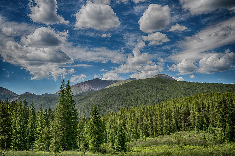 Boreas Pass Vista Photograph by Sandra Flickstein - Pixels