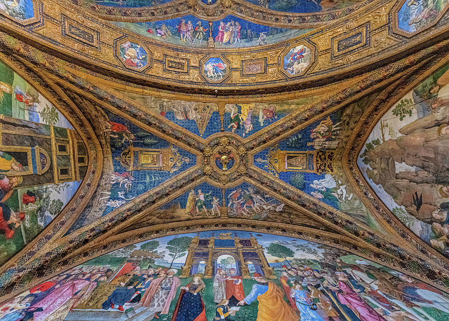 Borgia Ceiling In The Vatican Photograph by David Downs