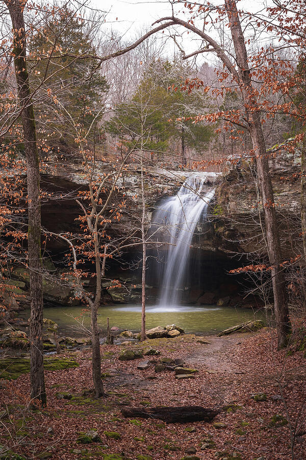 Borks Waterfall and Beeches Photograph by Grant Twiss Borks Waterfall and Beeches Photograph by Grant Twiss