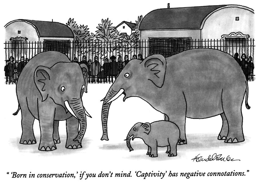 Animal Drawing - Born in Conservation by JB Handelsman Animal Drawing - Born in Conservation by JB Handelsman