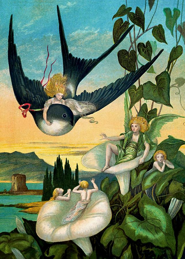 Born on the Swallows Back Fairy Art Digital Art by Patricia Keith