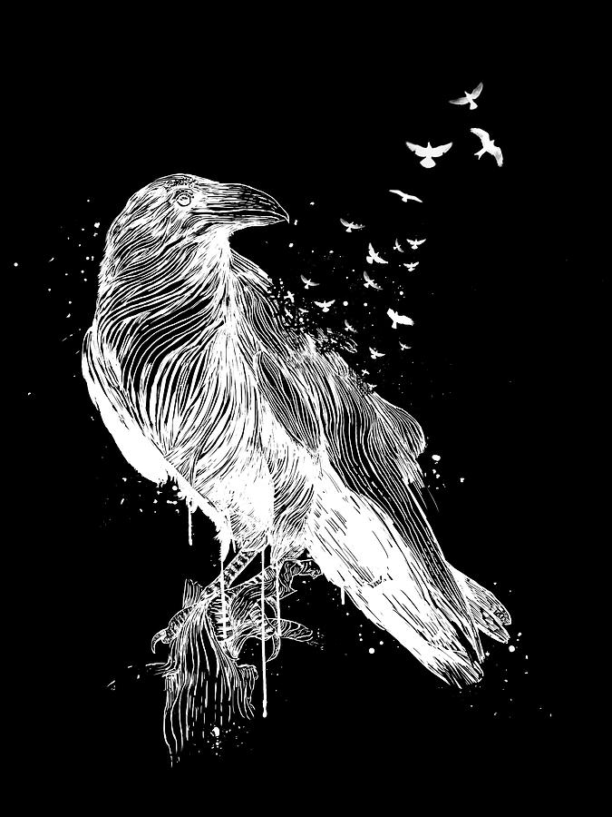 Bird Drawing - Born to be free II by Balazs Solti