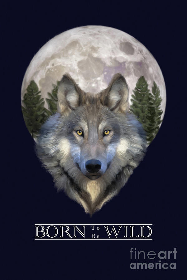 Wolves Painting - Born to be wild by John Edwards