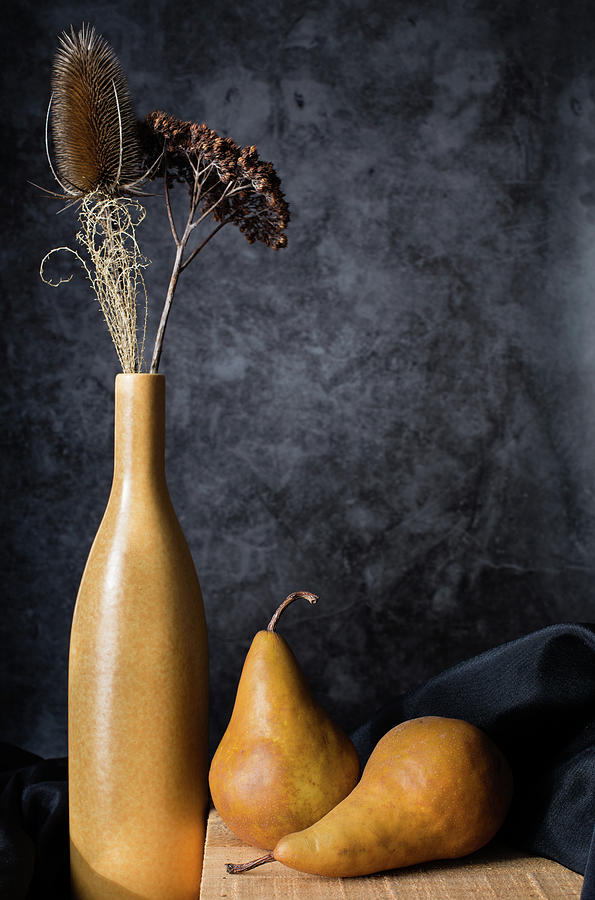 Bosc Pears and Dead Flowers Still Life Photograph by Andrew Pacheco