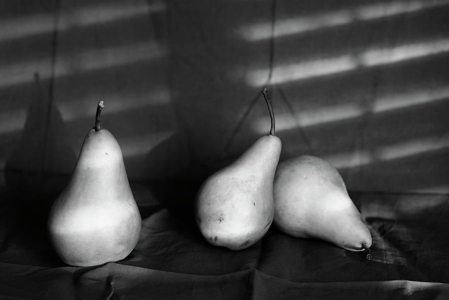 Bosc pears still life in monochrome Photograph by Vishwanath Bhat