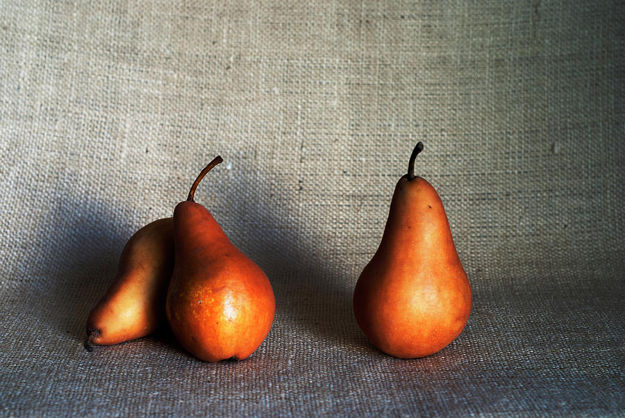 Bosc Pears Still life Photograph by Vishwanath Bhat