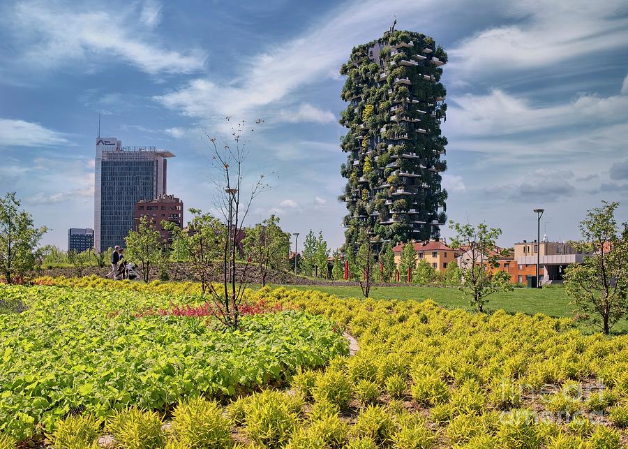 Bosco Verticale Eco Garden, Milan, Italy - 2 Photograph by Philip Preston