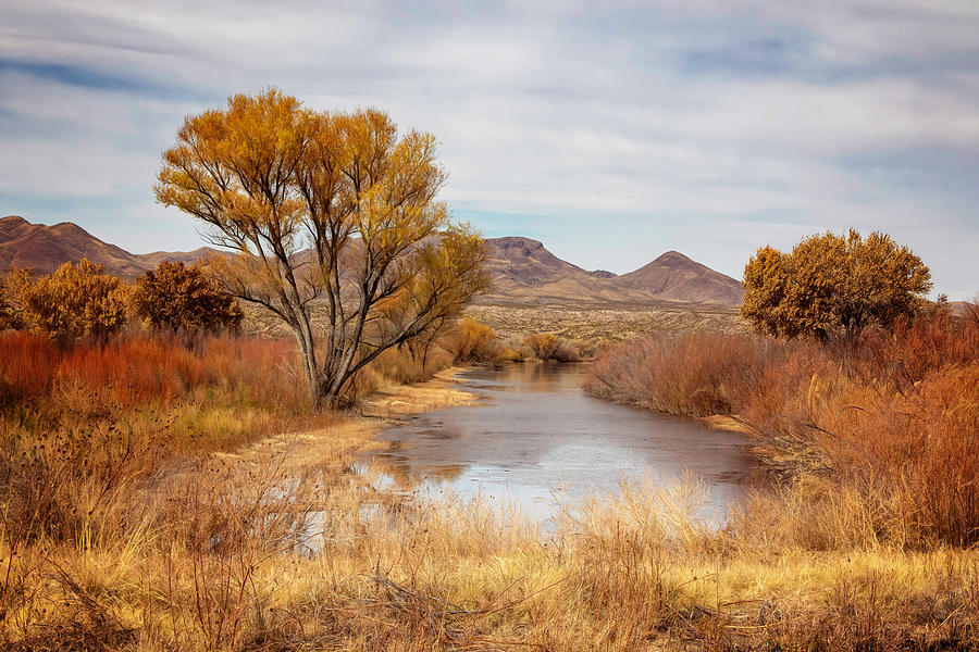Bosque Del Apache Fall Photograph by Wes and Dotty Weber
