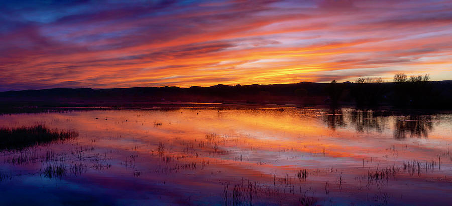 Bosque del Apache Sunset Photograph by Wes and Dotty Weber