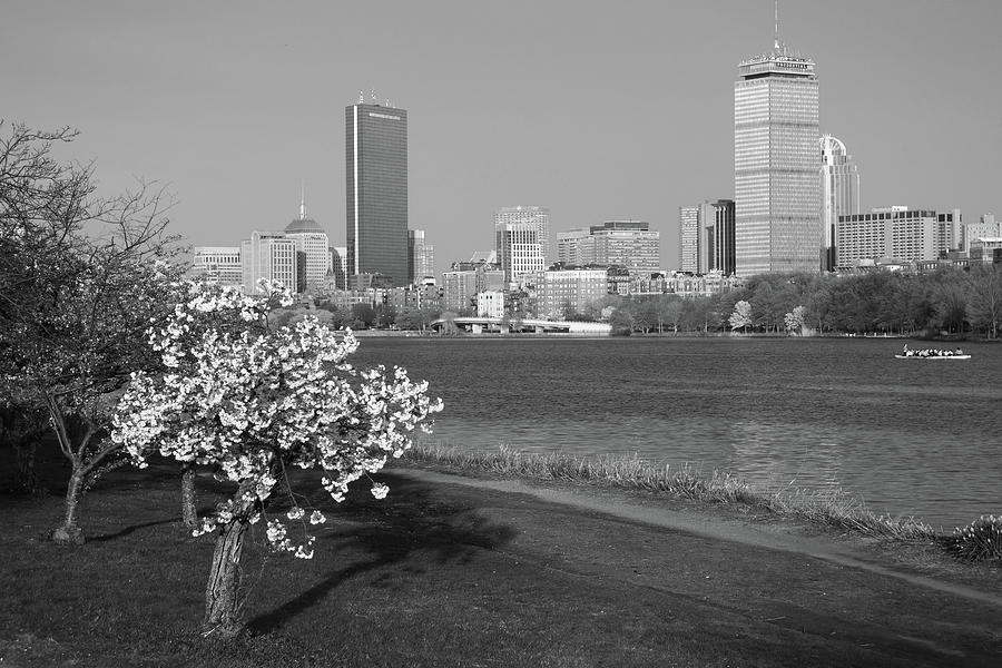 Boston Charles River on a Spring day Black and White Photograph by Toby McGuire