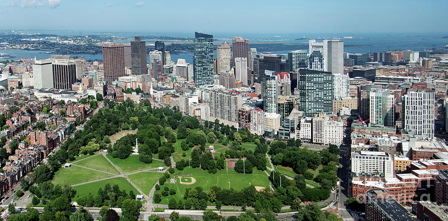 Boston Common and City Skyline Aerial Photograph by David Oppenheimer