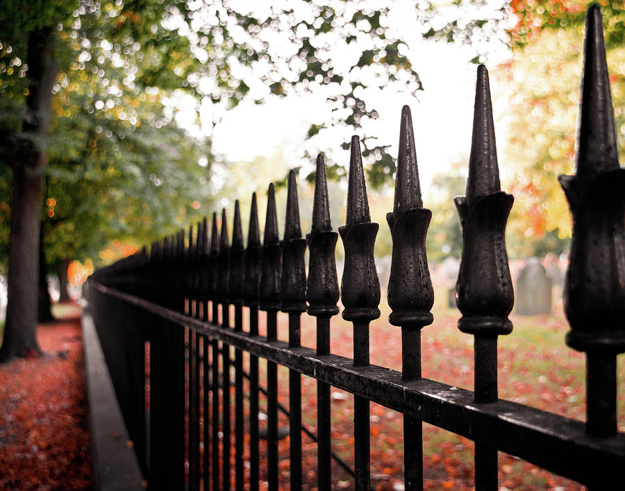 Boston Common Fall Fence Photograph by Sonja Quintero
