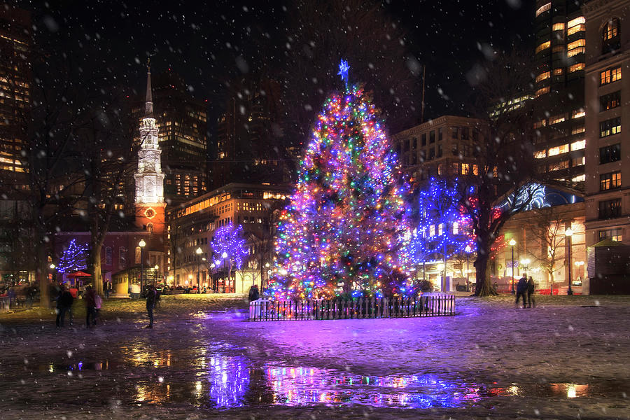 Boston Photograph - Boston Common in Christmas by Joann Vitali