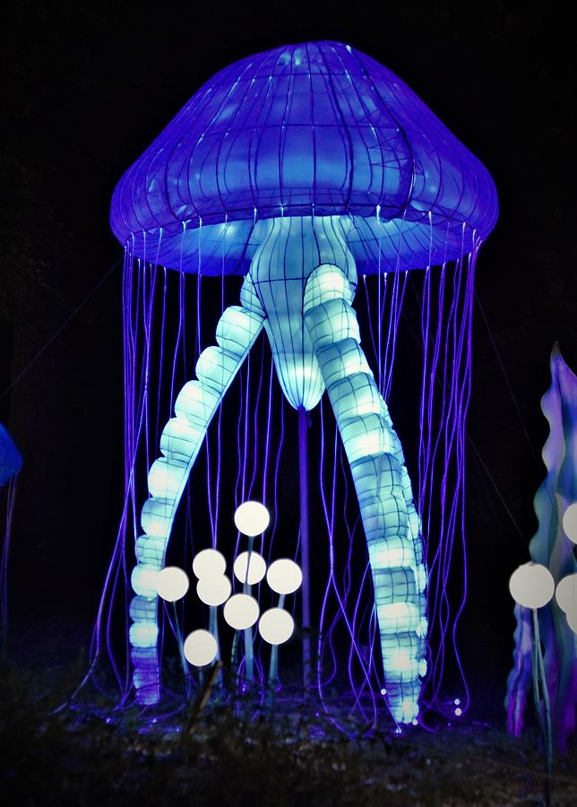 - Boston Lights at Franklin Park Zoo - Blue Jellyfish Photograph by THERESA Nye
