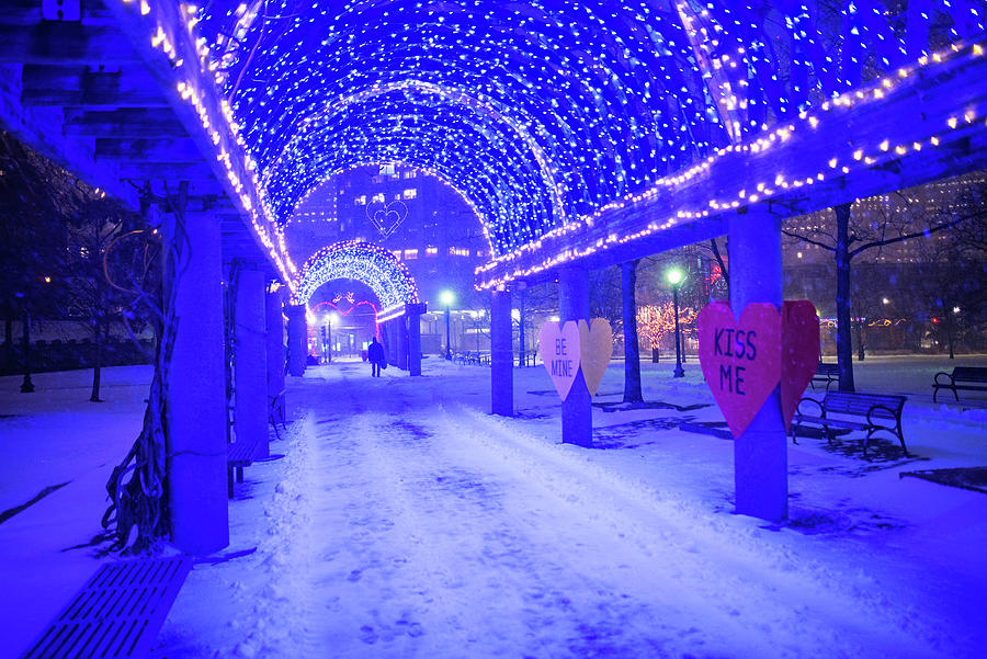 Boston MA Christopher Columbus Park Trellis Lit up for Valentines Day Snowy Night Photograph by Toby McGuire