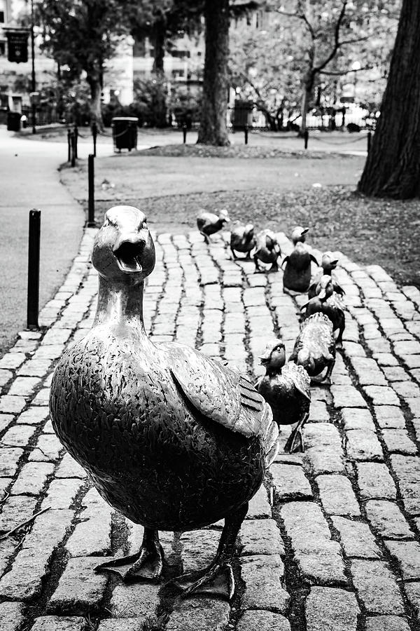 Boston Massachusetts Iconic Make Way For Ducklings Public Art Piece ...