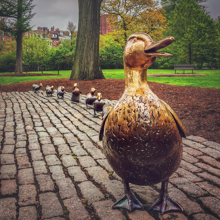 Boston Massachusetts Make Way For Ducklings Photograph by Carol Japp