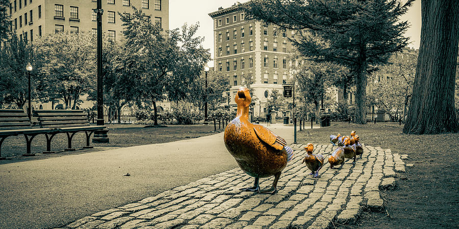 Boston Public Garden Ducklings Panorama - Selective Color Photograph by Gregory Ballos