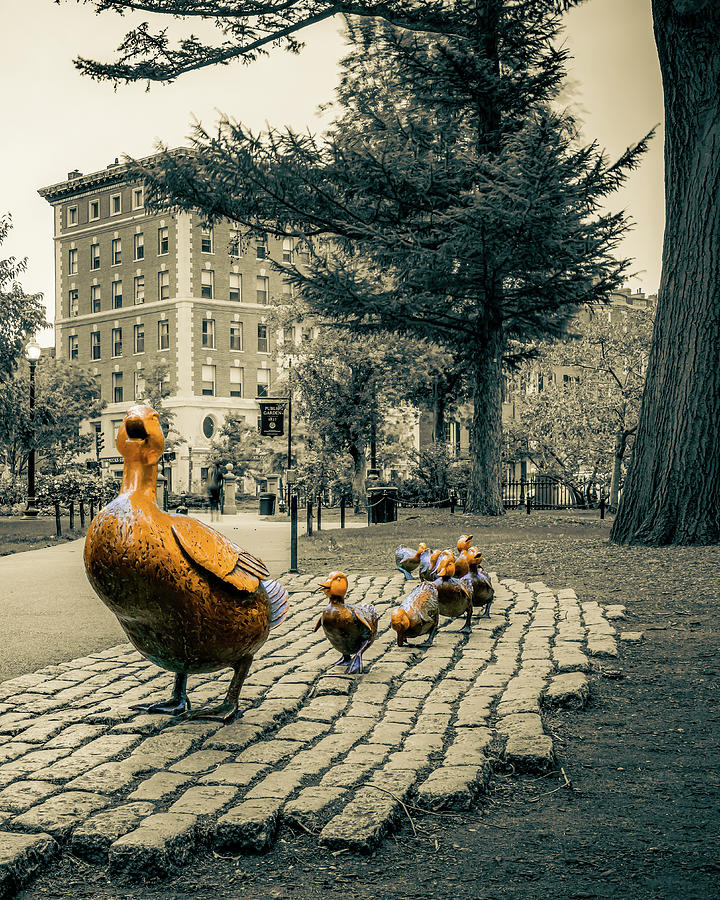 Boston Public Garden Ducklings - Selective Color Photograph by Gregory Ballos