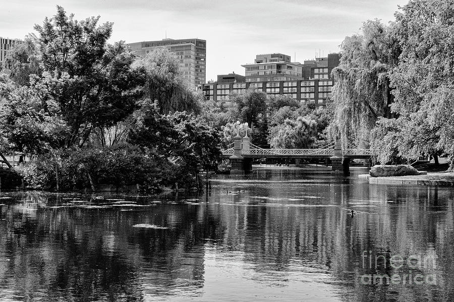 Boston Public Garden Lagoon Bridge 2 Photograph by Bob Phillips