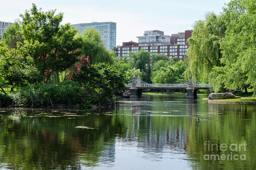 Boston Public Garden Lagoon Bridge Photograph by Bob Phillips