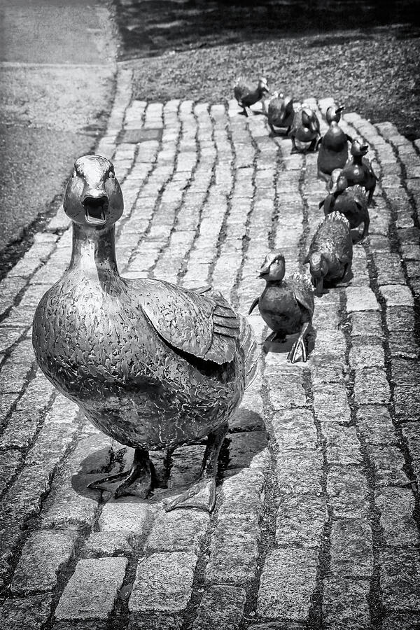 Boston Public Garden Make Way For Ducklings Black and White Photograph by Carol Japp