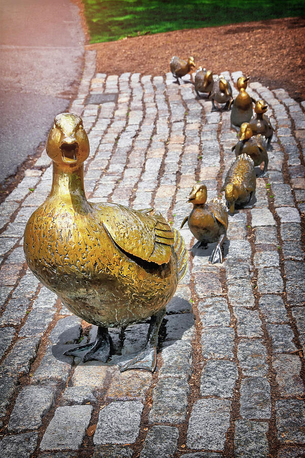 Boston Public Garden Make Way For Ducklings  Photograph by Carol Japp